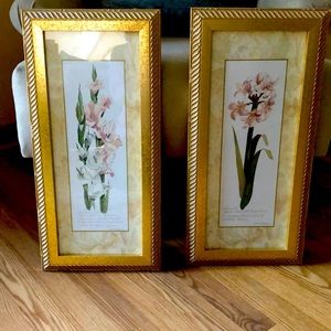 Beautiful pair of pictures. Pink flower gold frame